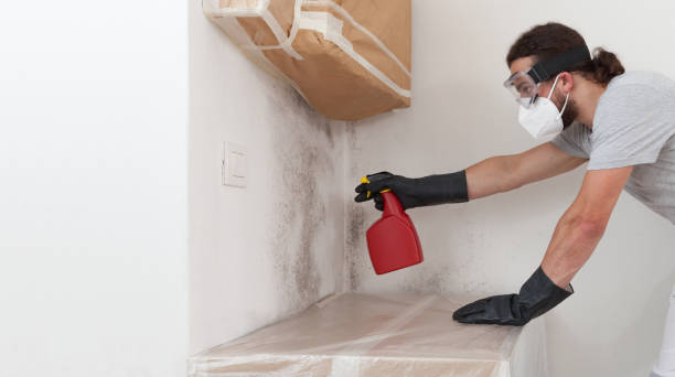 Professional Attic Mold Remediation technician working in East Petersburg, PA