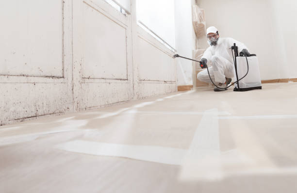 24/7 Emergency Attic Mold Remediation experts in East Petersburg, PA